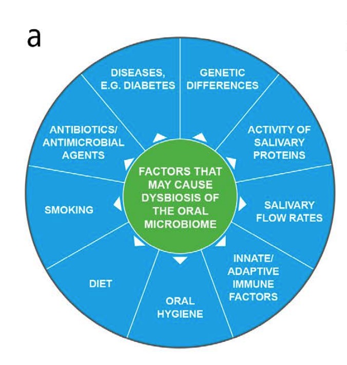 pathogenesis of caries diagram